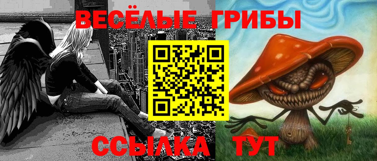 Псилоцибиновые грибы Psilocybe Рыбинск
